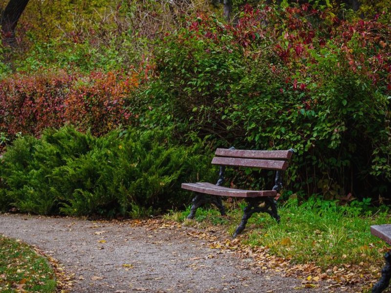 如果能重來